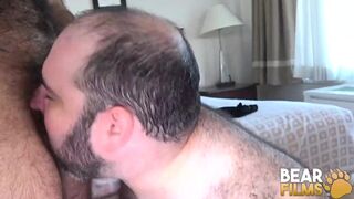 Bear Fat Bear Ivan Romanov Bred By Hairy Atlas Grant