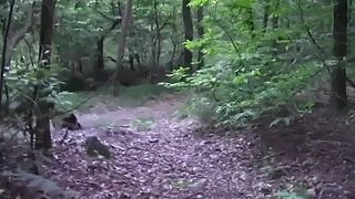 Hot nice cumshot in the wood