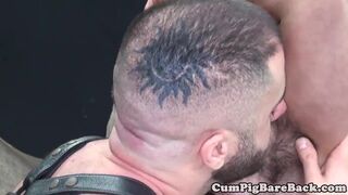 Dilf toying bears ass before barebacking