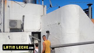 The New Guy in Town Trailer