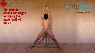 Enjoy the View: IMPALED ON THE VIBRATOR PROSTATE STIMULATION