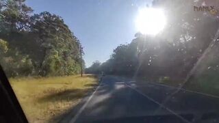 Step Gay Dad the Hitchhiker Roadside Rendezvous