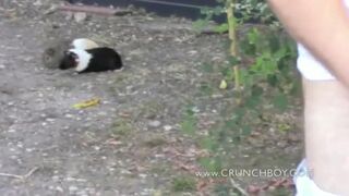 Double creampie bareback exhib for bitch