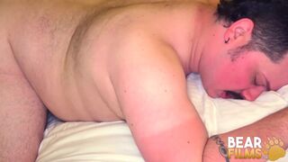 Bear Silver Bear Daddy Cliff Boyd Breeds Jackson Boyd