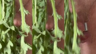 Stinging Nettle 1 My first experience