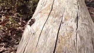 Wanking in the woods by the water. Verbal.