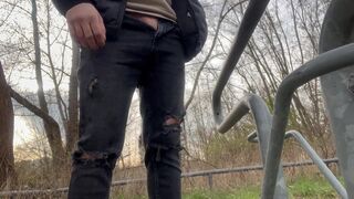 Dick flashing near strangers in town park