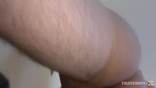 We Got A House Bitch