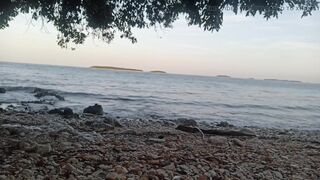 Morning Glory at the Beach