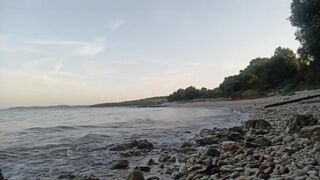 Morning Glory at the Beach