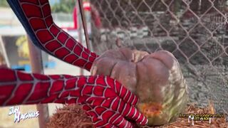 Pumpkin Fucker Cutie Twink Big Cumshot!