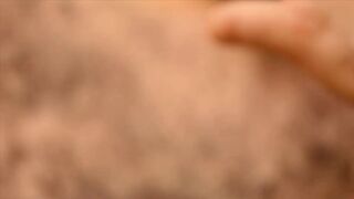 Scruffy Stocky in the Garden