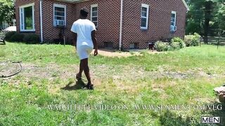 Cockumber / Hot / Bruno Cartella, Ty Shine