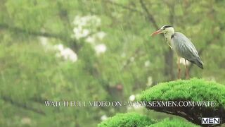 Cruising Grounds Teil 3 / HERREN / Jacob Peterson, Alexander Muller