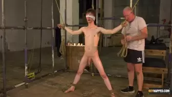 Young Alex Faux endures rough anal torment by Sebastian Kane