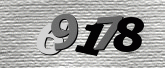 Immagine di protezione